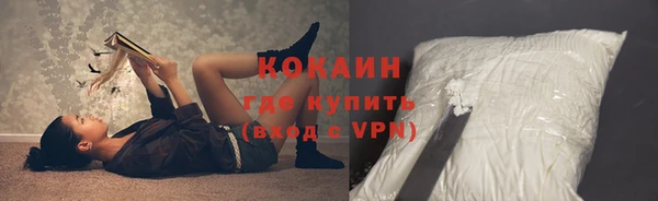 дживик Абинск