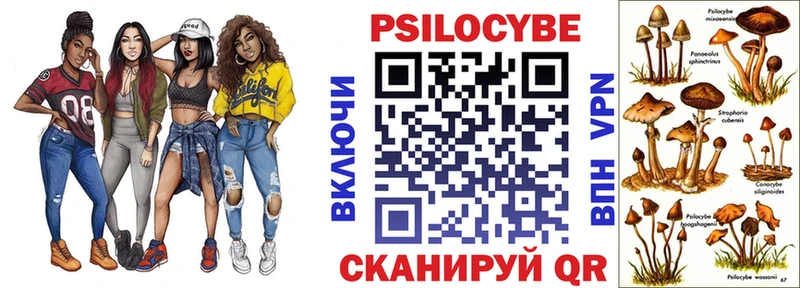 закладки Плавск Галлюциногенные грибы Psilocybe